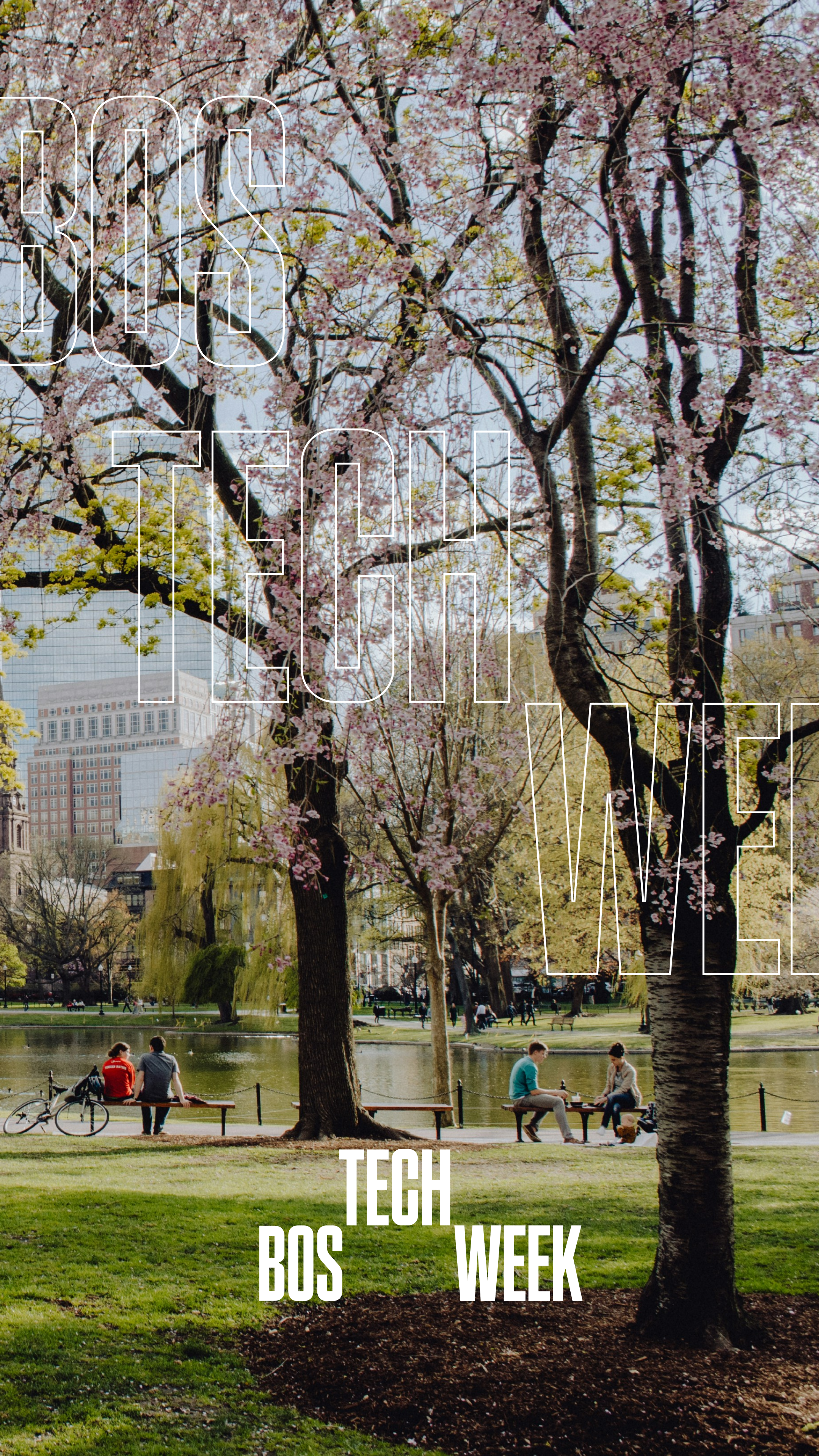 BOS City Outline 5